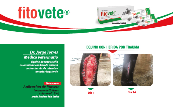 Caso 10 Crema-100