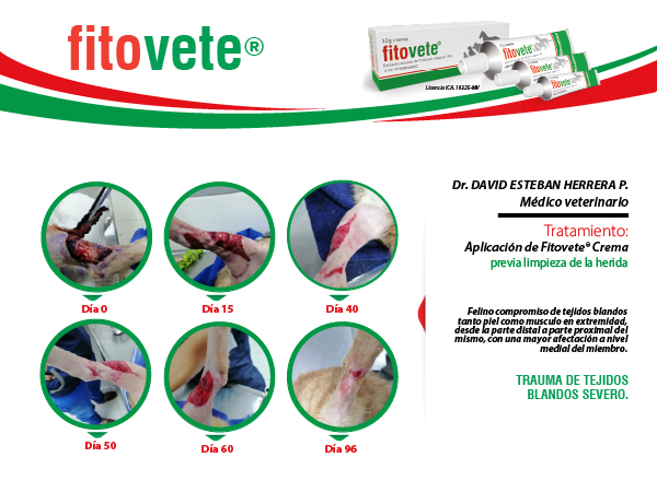 Caso 2 Crema-100