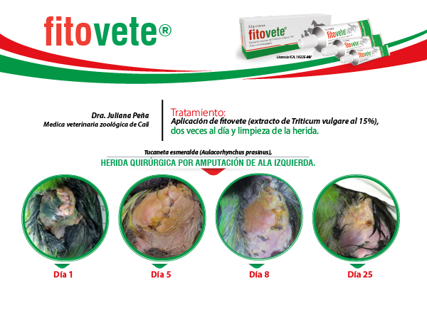 Caso 3 Crema_1-100