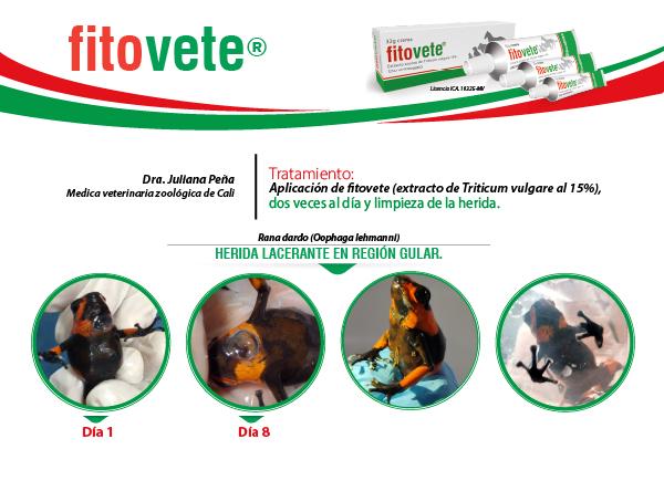 Caso 5 Crema-100