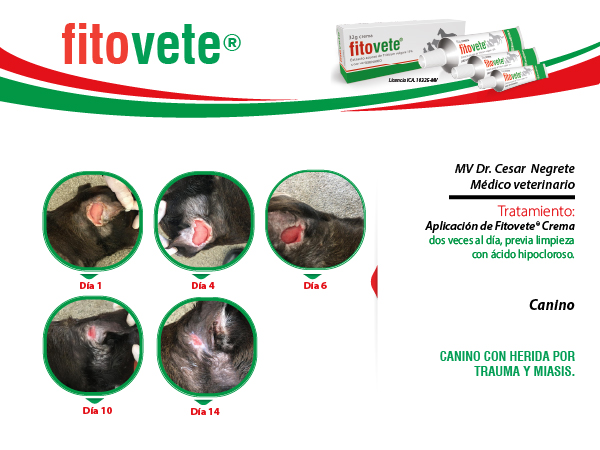 Caso 7 Crema-100