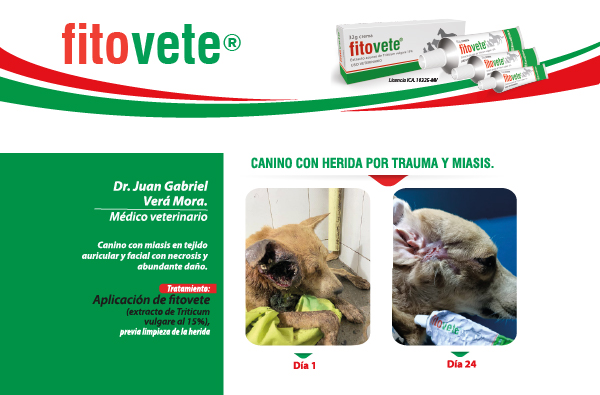 Caso 8 Crema-100
