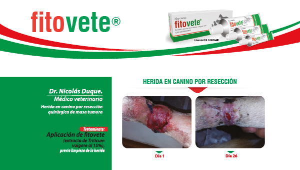 Caso 9 Crema-100